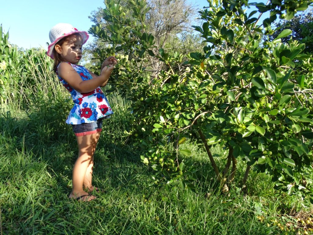 Segredo Para ter uma vida prospera, 2º aquele que tudo criou, não deixe de ler toda a receita.