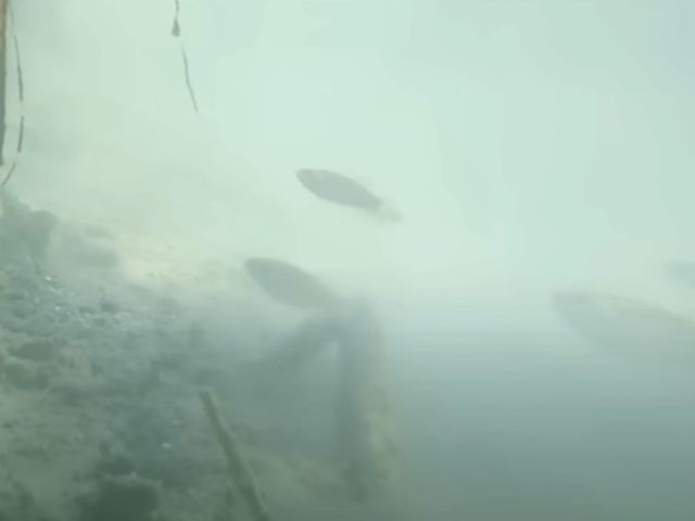 IMPRECIONANTE! Video mostra profecia de Ezequiel se cumprindo e mostra peixes no mar morto Assista vídeo